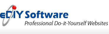 Web Design NZ - Business Web Site Design and Website Hosting