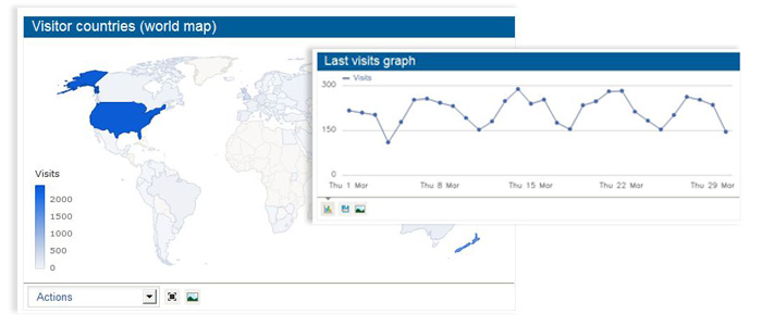 Website Statistics SEO